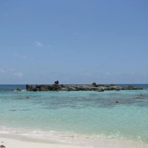 Meet your Posher, Kelley